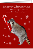 Christmas to Sister and Brother-in-Law, Raccoon eating a candy cane card