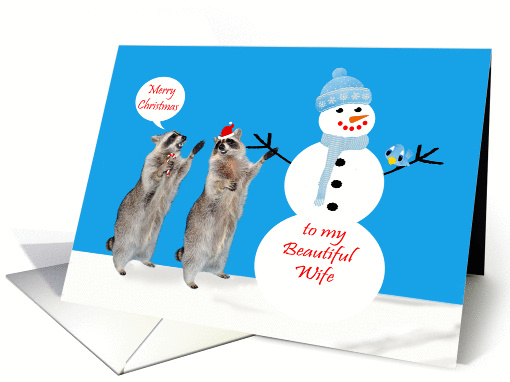 Christmas to Wife, Raccoons with Snowman and bird on blue in snow card
