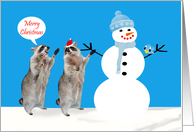 Christmas, general, Raccoons with Snowman and bird on blue in snow card