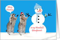 Christmas to Grandparents, Raccoons with snowman and bird on blue card