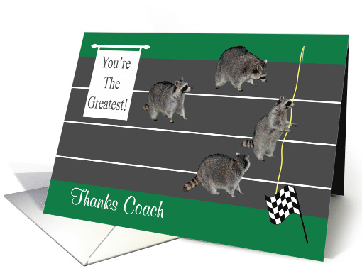 Thank You to Track Coach, four raccoons getting ready to... (852623)
