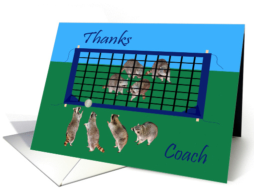 Thank You To Coach, general, Raccoons playing volley ball... (852890)
