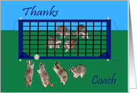 Thank You To Coach, general, Raccoons playing volley ball with net card