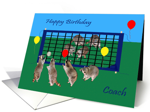 Birthday to Coach, general, Raccoons playing volley ball... (852896)
