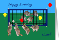 Birthday to Coach, general, Raccoons playing volley ball with balloons card