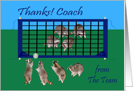 Thank You To Coach From The Team, Raccoons playing volley ball card