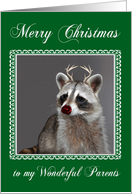 Christmas to Parents, Raccoon with red-nose and antlers in a frame card