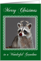 Christmas to Grandma, adorable raccoon with a red-nose and antlers card