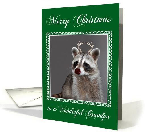 Christmas to Grandpa, Raccoon with a red-nose and antlers... (858639)