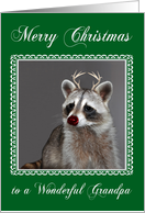 Christmas to Grandpa, Raccoon with a red-nose and antlers on green card