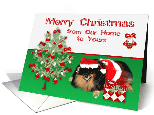 Christmas from Our Home to Yours, Pomeranian as Mrs. Santa Claus card