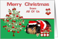 Christmas from All Of Us, Pomeranian as Mrs. Santa Claus, present card