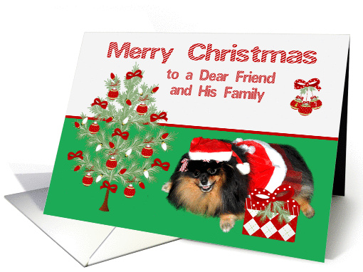 Christmas to Friend and his Family, Pomeranian as Mrs.... (859405)