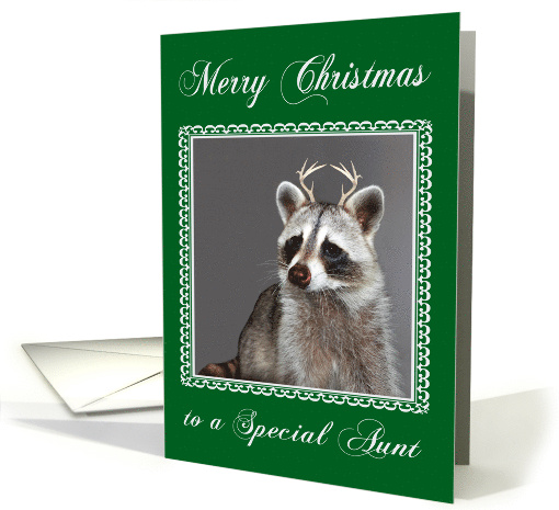 Christmas to Aunt Raccoon with Red Nose and Antlers in a... (859646)