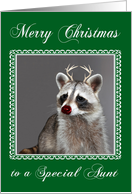 Christmas to Aunt Raccoon with Red Nose and Antlers in a Fancy Frame card