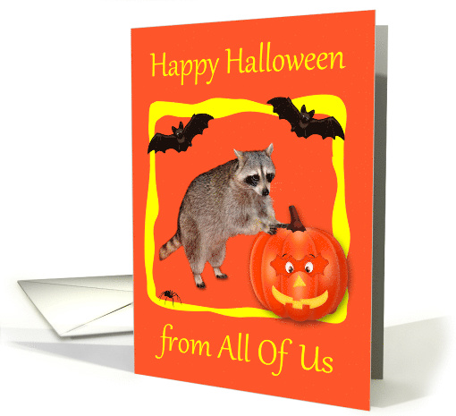 Halloween from All Of Us, Raccoon with jack-o-lantern,... (860985)