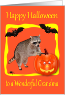 Halloween to Grandma, Raccoon with jack-o-lantern, bats on orange card