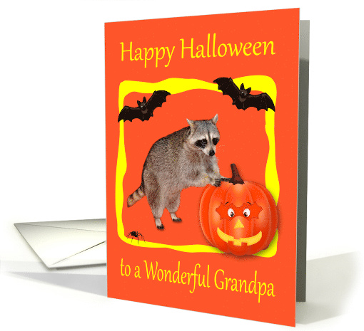 Halloween to Grandpa, Raccoon with jack-o-lantern, bats on orange card