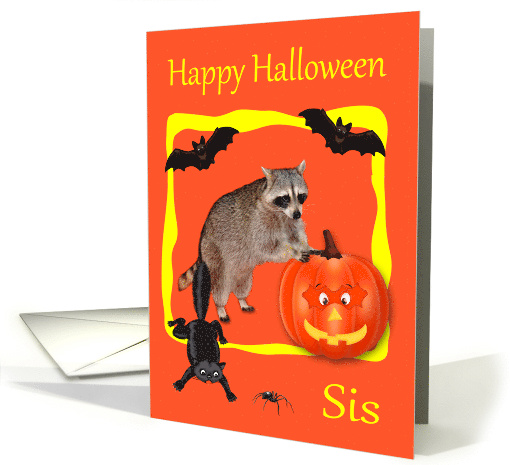 Halloween to Sister Raccoon with Jack o lantern and Bats... (861026)