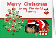 Christmas to Parents, Pomeranian as Mrs. Santa Claus, present, tree card