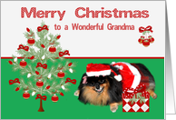 Christmas to Grandma, Pomeranian as Mrs. Santa Claus, present, tree card