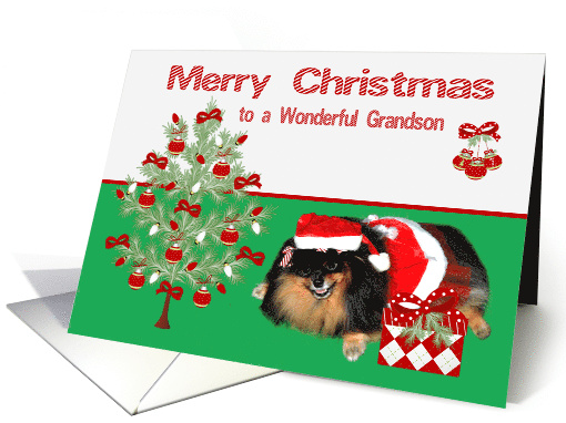 Christmas to Grandson with a Pomeranian Mrs Santa Claus and Tree card