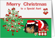 Christmas to Aunt, Pomeranian as Mrs. Santa Claus, present, tree card