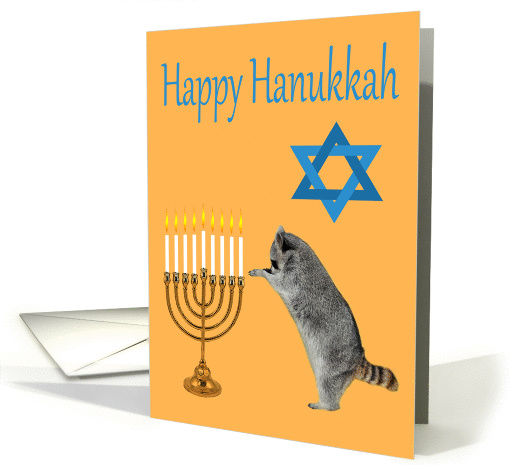 Hanukkah, Raccoon praying by a menorah with a Star Of David card