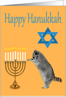 Hanukkah, Raccoon praying by a menorah with a Star Of David card