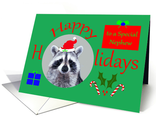 Happy Holidays To Nephew with a Raccoon Wearing a Santa Claus Hat card