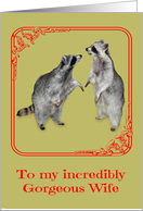 Anniversary to Wife, A cute raccoon staring in the eyes of another card