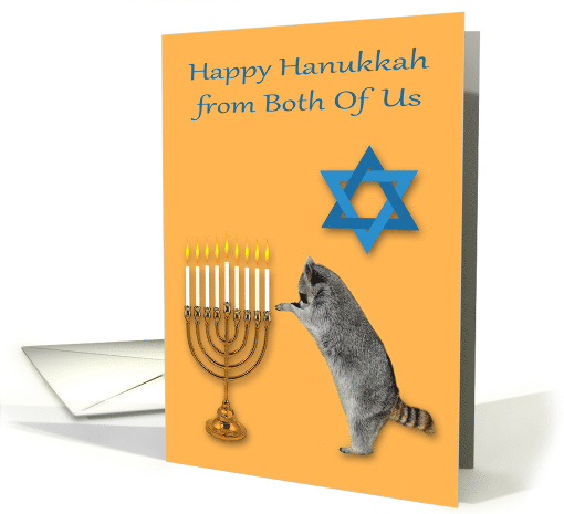 Hanukkah from Both Of Us, Raccoon praying by menorah, Star... (866438)