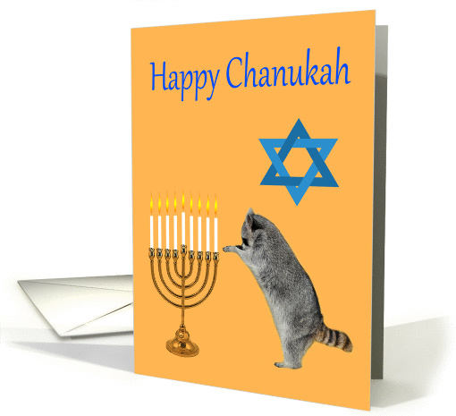 Chanukah, Raccoon praying by a menorah with a Star Of David card