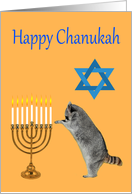 Chanukah, Raccoon praying by a menorah with a Star Of David card