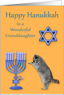 Hanukkah to Granddaughter with a Raccoon Praying by a Menorah card