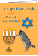 Hanukkah to Grandmother, Raccoon praying by menorah, Star Of David card