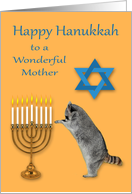 Hanukkah to Mother, Raccoon praying by a menorah with a Star Of David card