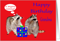 Birthday To Grandma, raccoons (masked bandits) stealing a birthday present card