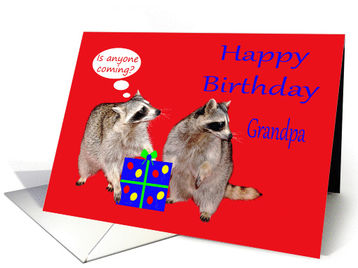 Birthday To Grandpa, raccoons (masked bandits) stealing a... (866770)