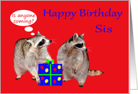 Birthday to Sister, humorous, raccoons stealing a birthday present card