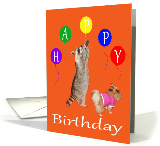 Birthday, general, Raccoon reaching high for balloons with... (867562)