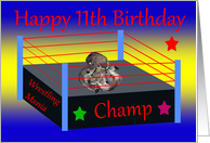 11th Birthday, Raccoon wrestling card