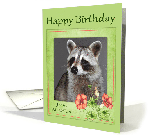Birthday from All Of Us, beautiful raccoon portrait in... (868402)