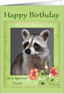 Birthday to Aunt, a beautiful raccoon portrait in frame with flowers card
