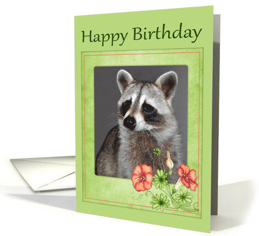Birthday, general, Portrait of a raccoon with flowers in... (868414)