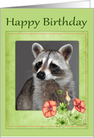 Birthday, general, Portrait of a raccoon with flowers in green frame card