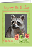 Birthday To Grandpa, Raccoon portrait with flowers card