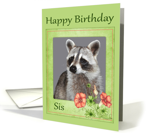 Birthday to Sister with a Rraccoon Portrait and Flowers in... (868420)