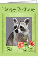 Birthday to Sister with a Rraccoon Portrait and Flowers in a Frame card