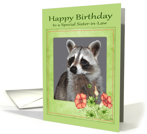Birthday to Sister-in-Law, beautiful raccoon portrait with... (868421)